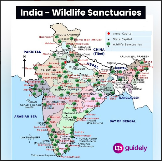 Top 10 Wildlife Sanctuaries In India Map List PDF State Wise   166739546786 